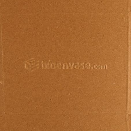 CAJA PAPEL BIO KRAFT TRICAPA CON TAPA TROQUELADA AUTOMONTABLE 270x192x70mm fondo 250x175mm