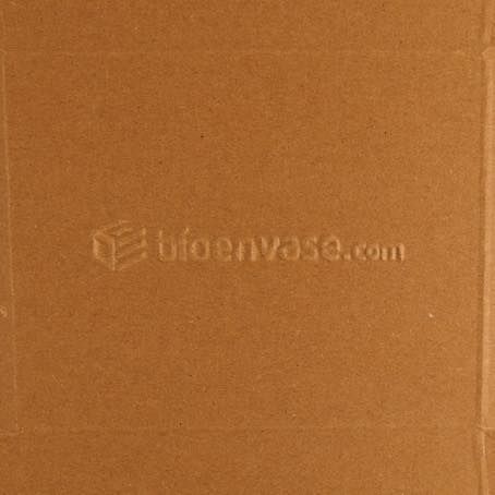 CAJA PAPEL BIO KRAFT TRICAPA CON TAPA TROQUELADA AUTOMONTABLE 270x192x70mm