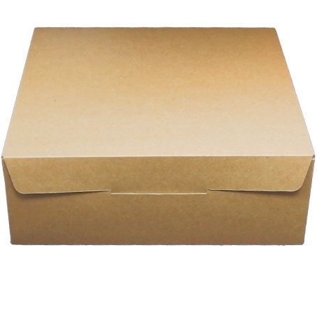 CAJA CARTON CUADRADA AUTOMONTABLE BIO 260X260X120mm ESPECIAL PARA ENVIOS, TARTAS, REGALOS, LIBROS, DESAYUNOS, ETC..