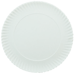 PLATO/BANDEJA CARTON "E" ESTRIADO BLANCO N9 270mm