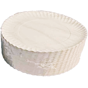 PLATO/BANDEJA CARTON "E" ESTRIADO BLANCO N9 270mm