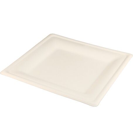 PLATO CAA DE AZUCAR CUADRADO 160x160x15mm COMPOSTABLE