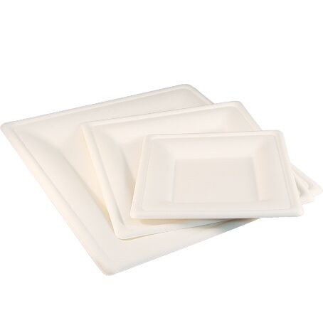 PLATO CAA DE AZUCAR CUADRADO 160x160x15mm COMPOSTABLE